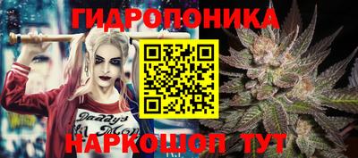 гашиш Будённовск